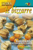 Machovka PHYSALIS PERUVIANA FRANCHI 