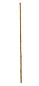Bambusová tyč 245cm 
